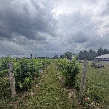 Hermann J. Wiemer Vineyard - Wineries Near Me - Dundee, New York