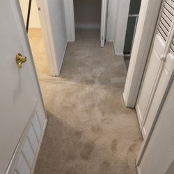 The Carpet Stop