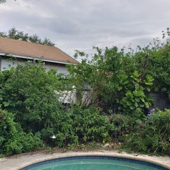 There’s a way tree service - Before - Tree Services Near Me - Altamonte Springs, Florida There’s a way tree service - Before - Tree Services Near Me - Altamonte Springs, Florida