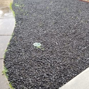 Tree and Landscape Pros - 30 days post job ( was corrected but continues and is worse a year later ) - Landscaping Near Me Tree and Landscape Pros - 30 days post job ( was corrected but continues and is worse a year later ) - Landscaping Near Me