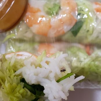 Pho Lotus - Bug wrapped into my spring roll - Vietnamese Near Me - Gilbert, Arizona