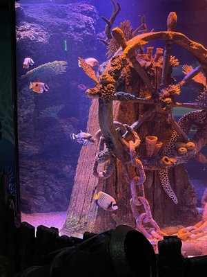 SEA LIFE San Antonio by null