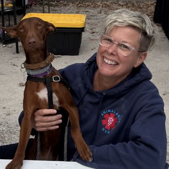 Animalance RVA - Pet Transportation Near Me - Chesterfield, Virginia Animalance RVA - Pet Transportation Near Me - Chesterfield, Virginia