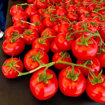 Kamuela Tomatoes - Gorgeous, local grown and super fresh tomatoes! - Farmers Market Near Me - Honolulu, Hawaii Kamuela Tomatoes - Gorgeous, local grown and super fresh tomatoes! - Farmers Market Near Me - Honolulu, Hawaii