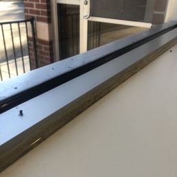 Dead flies next to table.