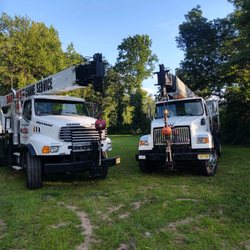 Darrin's Tree Service