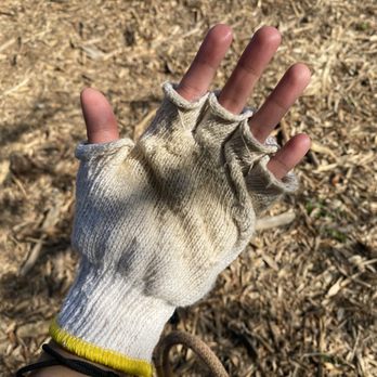 TreeUmph! Adventure Course - Gloves $6 for you to keep. Really worth it because the ropes will hurt when hanging on.. you can bring your own also - Ziplining Near Me - Bradenton, Florida