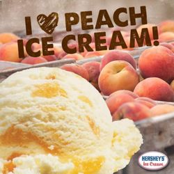 Scoops 'n Smiles