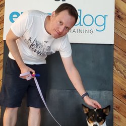 Every Dog Behavior and Training