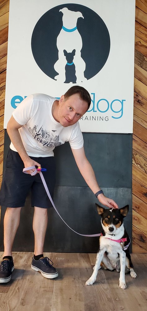 Every Dog Behavior and Training - social services organization in Austin, TX