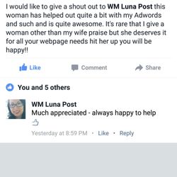 68 Seconds Startup - Facebook feedback from a local deck company & Christmas light hanging service (off-season) client.
