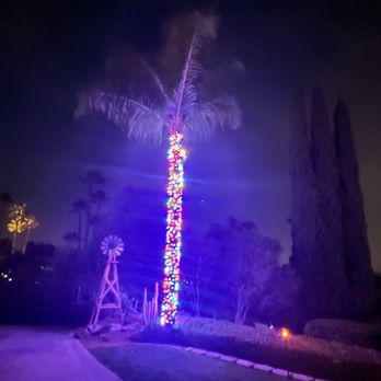 Christmas Lights SD - Palm tree wrapped in multicolored lights - Holiday Decorating Services Near Me