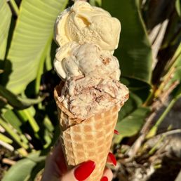 Salted, Malted, Chocolate Chip Cookie Dough