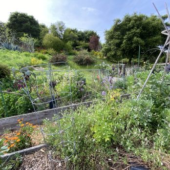 Brisbane Community Garden - Community Gardens Near Me - Brisbane, California
