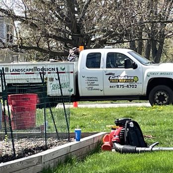 Cabanas Tree Service - a truck parked on the side of the road - Tree Services Near Me - Palatine, Illinois