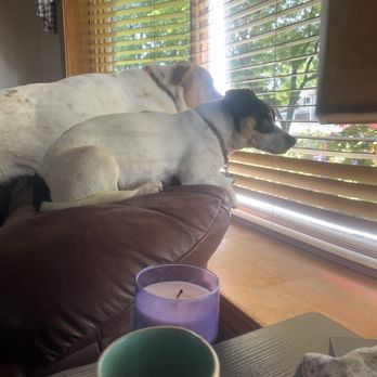 Pet Supplies Plus Warren - Waiting for their ordet!!! - Pet Stores Near Me - Warren, Michigan Pet Supplies Plus Warren - Waiting for their ordet!!! - Pet Stores Near Me - Warren, Michigan