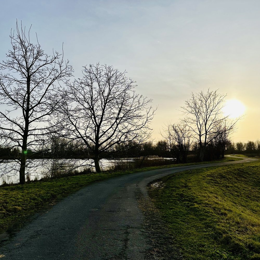 Wal-Zwijn - Winterwandeling - Hiking Near Me - Hamme, VOV