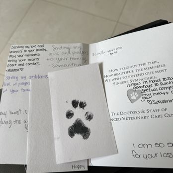 Advanced Veterinary Care Center - Footprint - Emergency Pet Hospital Near Me - Davie, Florida