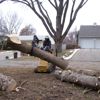 American Arborist - Haulin off the logs. - Tree Services Near Me - Omaha, Nebraska American Arborist - Haulin off the logs. - Tree Services Near Me - Omaha, Nebraska