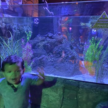 SEA LIFE Grapevine Aquarium - My super excited 2 year old by one of the tanks. - Aquariums Near Me - Grapevine, Texas SEA LIFE Grapevine Aquarium - My super excited 2 year old by one of the tanks. - Aquariums Near Me - Grapevine, Texas