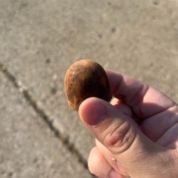 Pure Imagination Chocolatier - Truffle