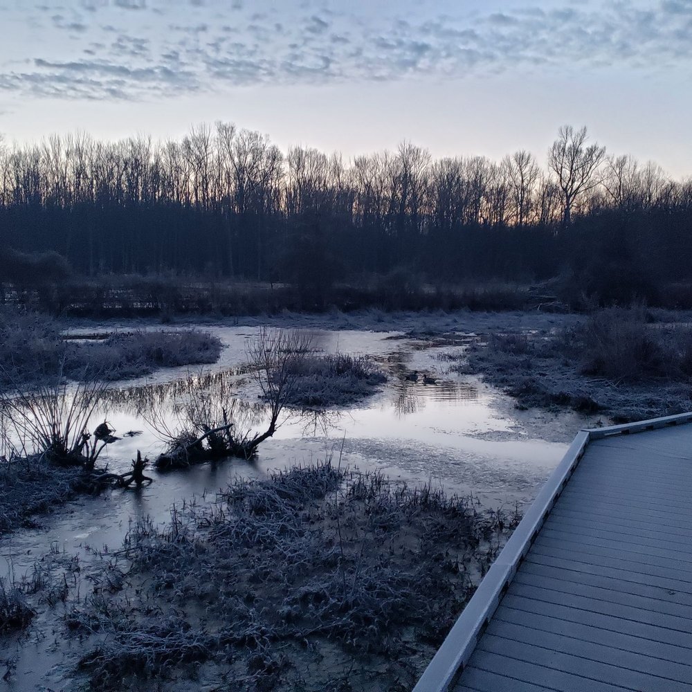 Huntley Meadows Park - Early Chilly Morn on the Boardwalk - Parks Near Me - Alexandria, Virginia Huntley Meadows Park - Early Chilly Morn on the Boardwalk - Parks Near Me - Alexandria, Virginia