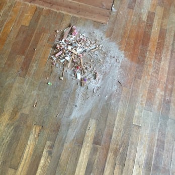 Empire Today - Carpet Installation Near Me Empire Today - Carpet Installation Near Me
