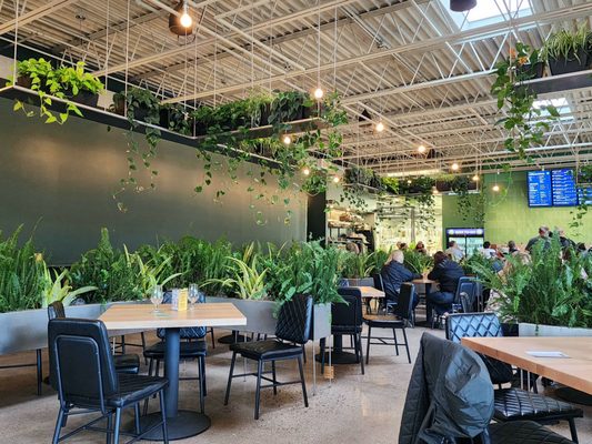 Wandering Leaf Brewing Company by null