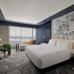 The Alexander