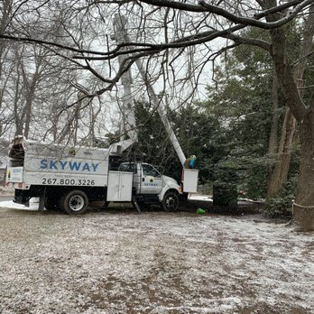 Skyway Tree Service - Tree Services Near Me - Hatboro, Pennsylvania Skyway Tree Service - Tree Services Near Me - Hatboro, Pennsylvania