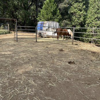 Feed Barn The - Look at the mess of shaft. I paid for that! - Fashion Near Me - Jackson, California