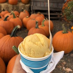 Pumpkin Ice Cream