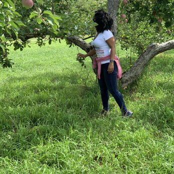 Shelburne Orchards - Find the right apples to pick - Distilleries Near Me - Shelburne, Vermont