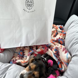 Wolf Pack Pet Supply - Sleepy girl with her new blanket and bag of toys!