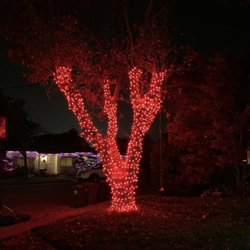 Holiday Lights - DELUXE wrap tree with LED red minis.