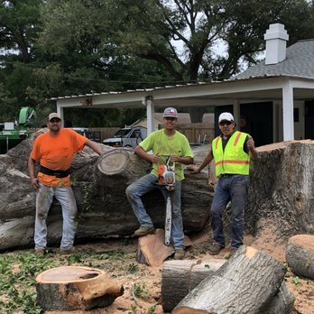 Perez Tree Service - Tree Services Near Me Perez Tree Service - Tree Services Near Me