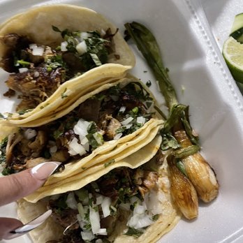 cactus restaurant - Taco where pork and nothing but fat no taste at all - Mexican Near Me - Wilkes-Barre, Pennsylvania cactus restaurant - Taco where pork and nothing but fat no taste at all - Mexican Near Me - Wilkes-Barre, Pennsylvania