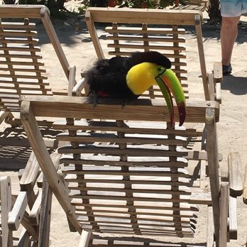 Xel-Há - Amusement Parks Near Me - Tulum, ROO