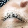 HollyBelle Lashes & Academy