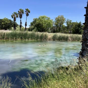Newhall Community Park - Dog Parks Near Me - Concord, California