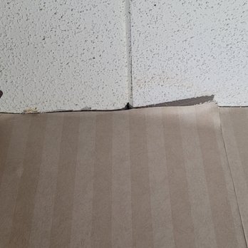Clarion Hotel - Downtown - University Area - Wallpaper coming off the walls in my room - Hotels Near Me - Oneonta, New York