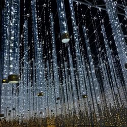 Glow Edmonton - Beautiful displays
