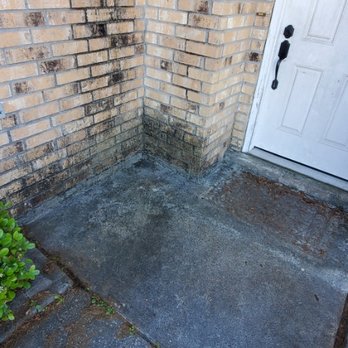 X-Stream Clean Softwash - Before softwash. - Pressure Washers Near Me - Covington, Louisiana