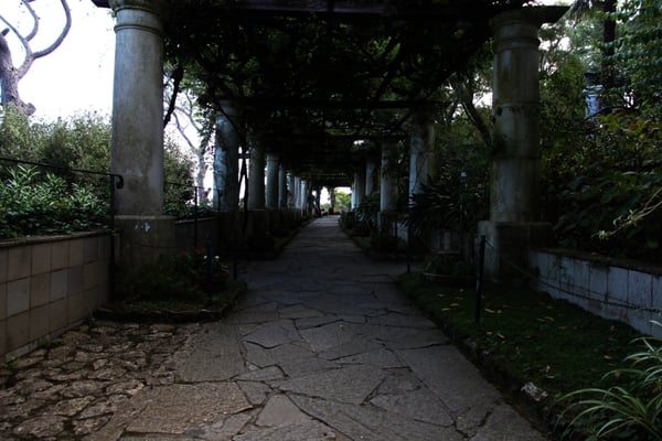 Villa San Michele by null