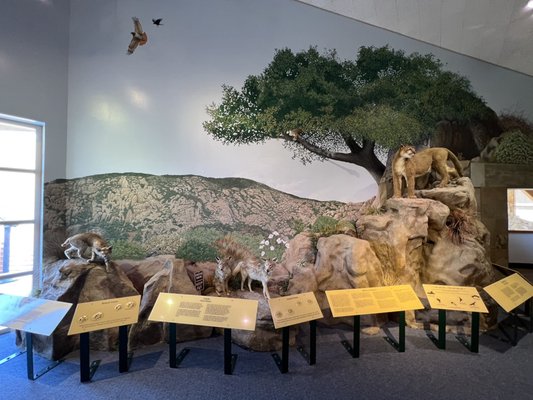 Mission Trails Regional Park Visitor and Interpretive Center by null