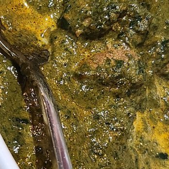 Jaxspice - Lamb Saag. Great spinach flavor. - Indian Near Me - Jacksonville Beach, Florida Jaxspice - Lamb Saag. Great spinach flavor. - Indian Near Me - Jacksonville Beach, Florida