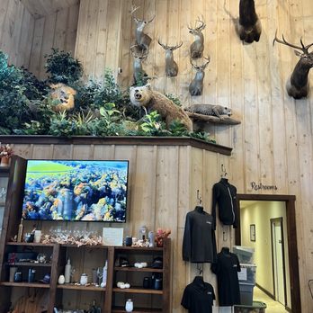 Texas Wine Tours - Items for sale. - Wine Tours Near Me - Fredericksburg, Texas