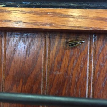 Sizzler - Bug! - Seafood Near Me - Merced, California