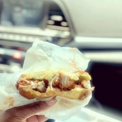 Jaybee's Tenders - Chicken Tender Sandwich and Fries Combo (Mambo)