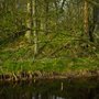 Photo of Vogelkoje